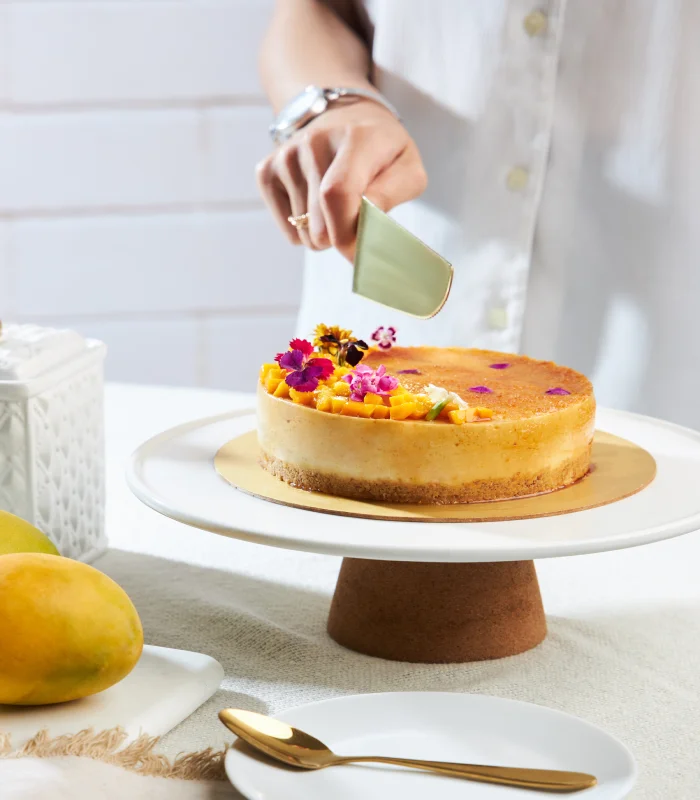 GOURMESTAN CRÈME BRULEE CHEESECAKE (1)