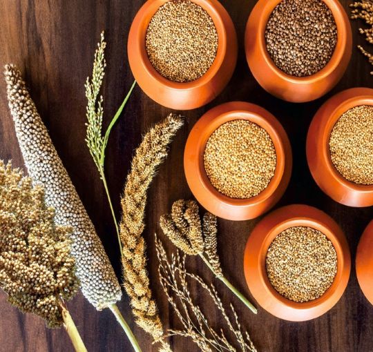 Millet is the Future of Healthy Eating